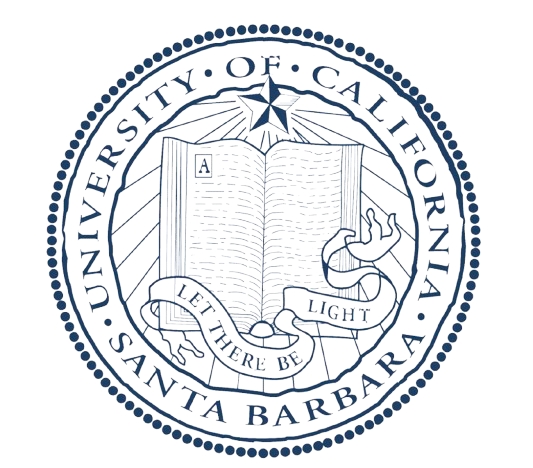 Computer Vision Engineer